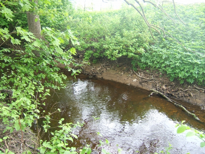Akmeņkaļu iela 21 3