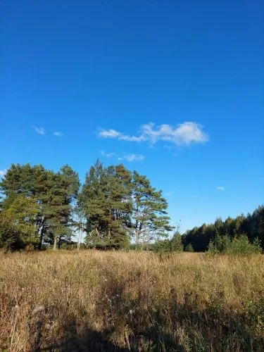 Senlatvieši iela 1 3