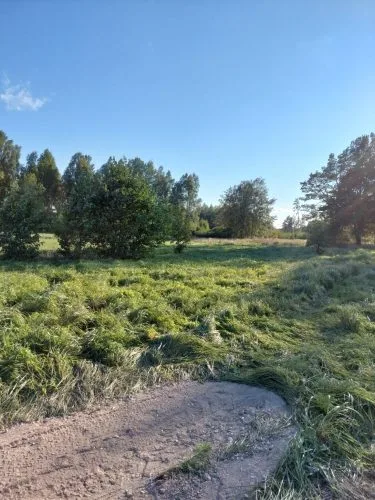 Pārdod zemi, Senlatvieši iela 1, Talsu novads, Vandzenes pagasts / 16 000 € 4