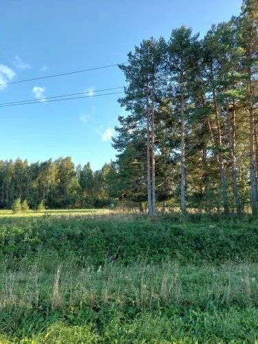 Pārdod zemi, Senlatvieši iela 1, Talsu novads, Vandzenes pagasts / 16 000 € 6