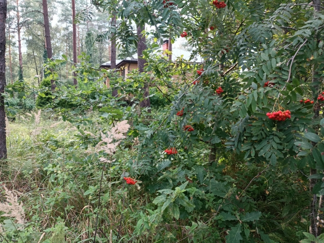 Upmalas iela 1 4