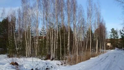 Продажа земли, Ziemassvētku улица 7, Ķekavas novads, Baloži / 32 900 € 6