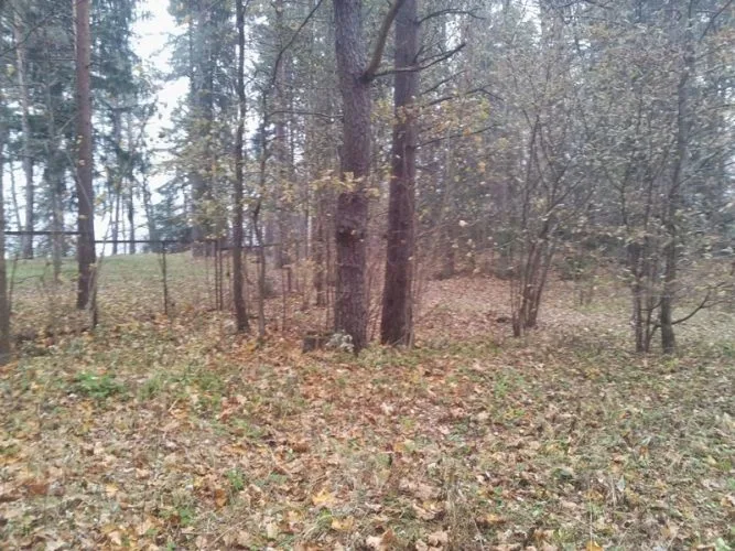Land plot For Sale, Ķeguma prospekts street 16, Ķeguma novads, Ķegums / 60 000 € 10