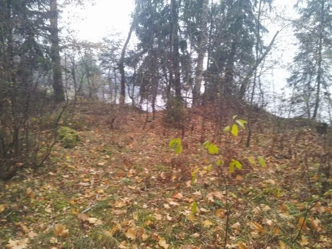 Land plot For Sale, Ķeguma prospekts street 16, Ķeguma novads, Ķegums / 60 000 € 11