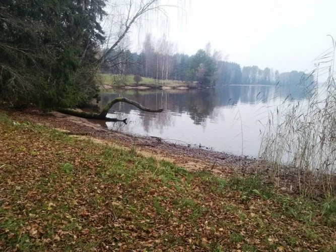 Land plot For Sale, Ķeguma prospekts street 16, Ķeguma novads, Ķegums / 60 000 € 13