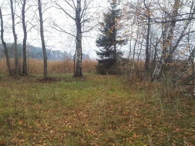 Land plot For Sale, Ķeguma prospekts street 16, Ķeguma novads, Ķegums / 60 000 € 14
