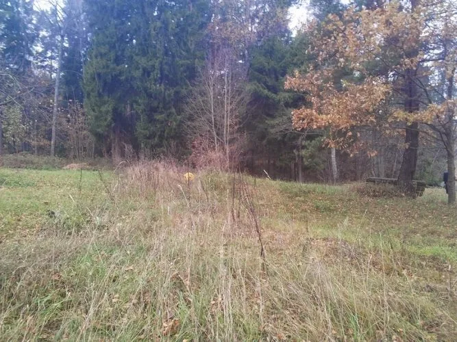 Land plot For Sale, Ķeguma prospekts street 16, Ķeguma novads, Ķegums / 60 000 € 15