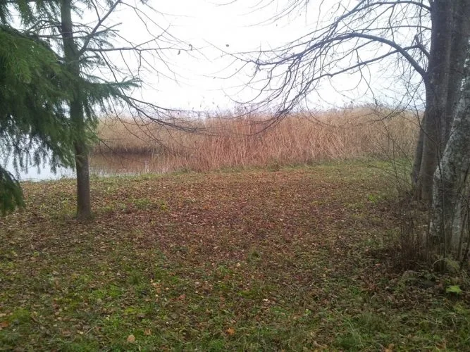 Land plot For Sale, Ķeguma prospekts street 16, Ķeguma novads, Ķegums / 60 000 € 16