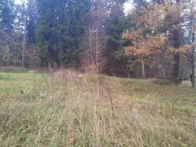 Land plot For Sale, Ķeguma prospekts street 16, Ķeguma novads, Ķegums / 60 000 € 15