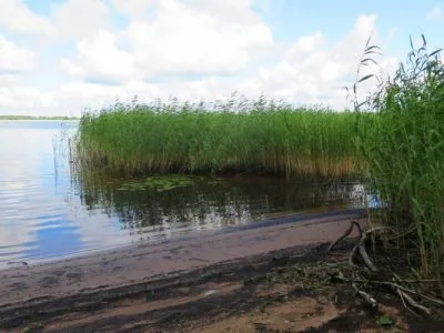 Land plot For Sale, Ķeguma prospekts street 16, Ķeguma novads, Ķegums / 60 000 € 4