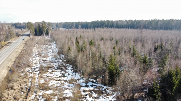 Nārbuļi - 4