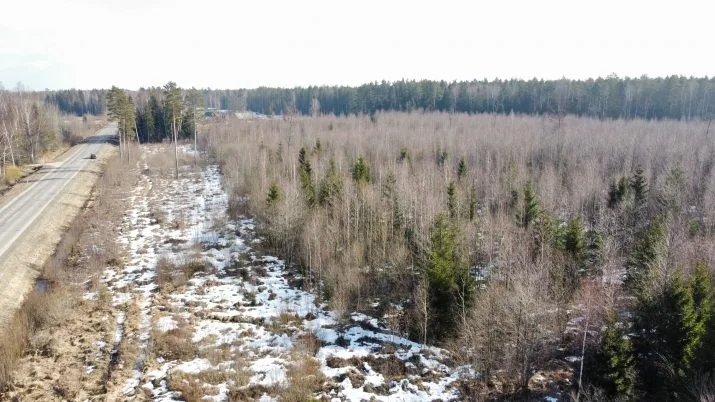 Nārbuļi - 4