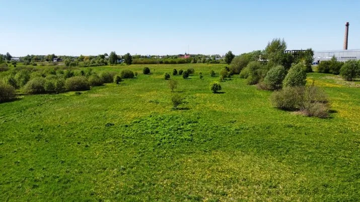 Land plot For Sale, Skrīveri ⠀, Ķekavas novads, Ķekavas pagasts / 140 000 € 9
