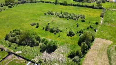 Land plot For Sale, Skrīveri ⠀, Ķekavas novads, Ķekavas pagasts / 140 000 € 4