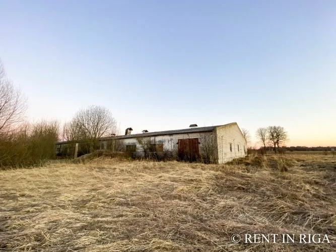 Продажа земли, Reiniši улица 1, Jelgavas novads, Lielplatones pagasts / 58 000 € 17