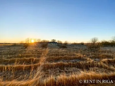 Продажа земли, Reiniši улица 1, Jelgavas novads, Lielplatones pagasts / 58 000 € 15