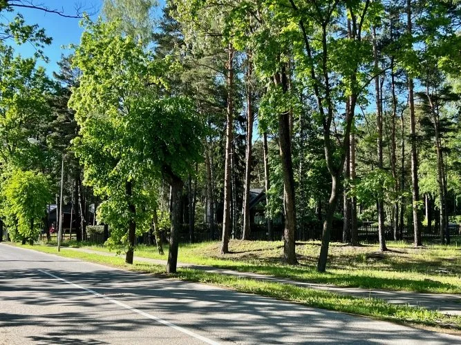 Land plot For Sale, Vikingu street 1A, Jūrmala, Lielupe / 199 900 € 6