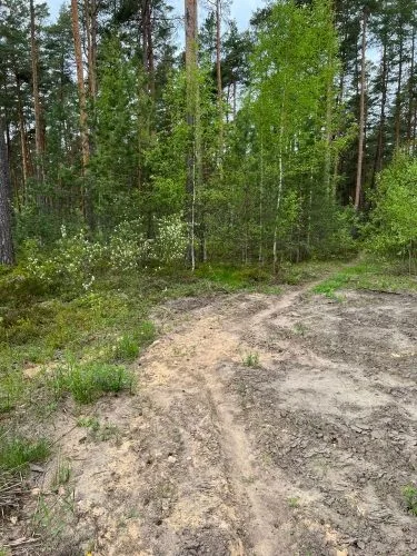 Evijas iela 6 6