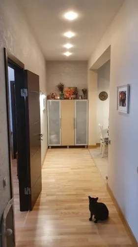 Viestura prospekts iela 79 3