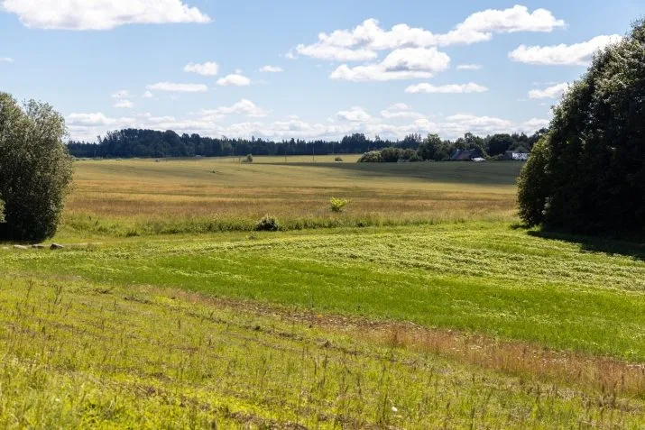 Pārdod māju, Vireši iela Auziņi, Smiltenes novads / 210 000 € 29