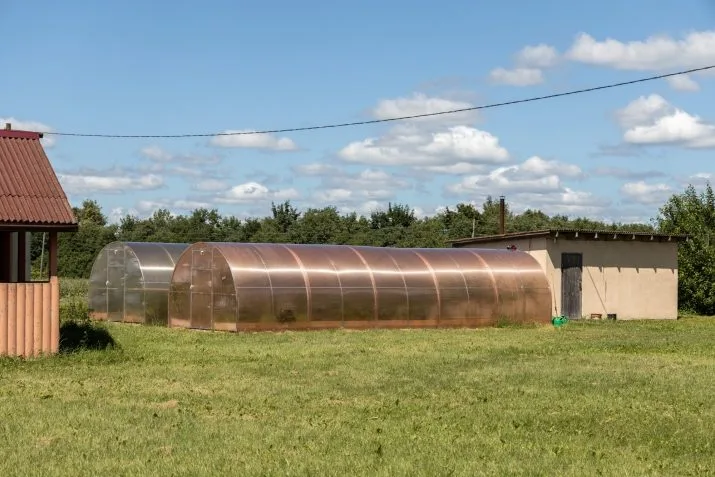 Pārdod māju, Vireši iela Auziņi, Smiltenes novads / 210 000 € 37