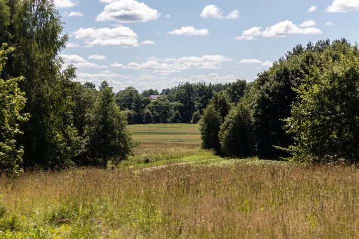 Pārdod māju, Vireši iela Auziņi, Smiltenes novads / 210 000 € 39