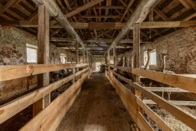 Pārdod māju, Vireši iela Auziņi, Smiltenes novads / 210 000 € 24