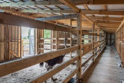 Pārdod māju, Vireši iela Auziņi, Smiltenes novads / 210 000 € 23