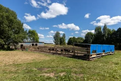 Pārdod māju, Vireši iela Auziņi, Smiltenes novads / 210 000 € 42