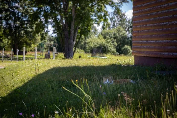 Продажа земли, Vireši Auziņi, Smiltenes novads / 210 000 € 32