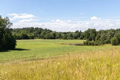 Продажа земли, Vireši Auziņi, Smiltenes novads / 210 000 € 8