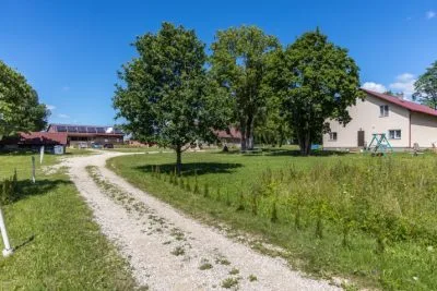 Продажа инвестиционного объекта, Vireši Auziņi, Smiltenes novads / 210 000 € 37