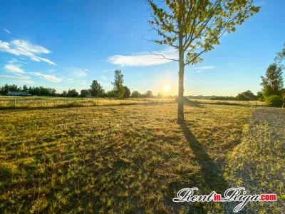 Pārdod zemi, Kūļiņu Ceļš 10A, Jelgava / 22 000 € 3