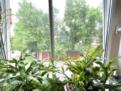 Pārdod dzīvokli, Jēzusbaznīcas iela 9, Rīga, Labais krasts, Centrs / 60 000 € 8