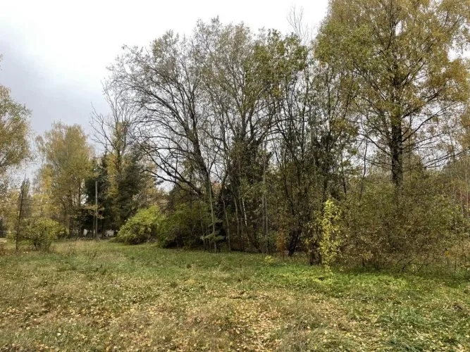 Traleru iela Osta 3