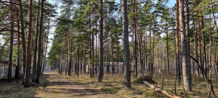 Rencēnu iela 33 6