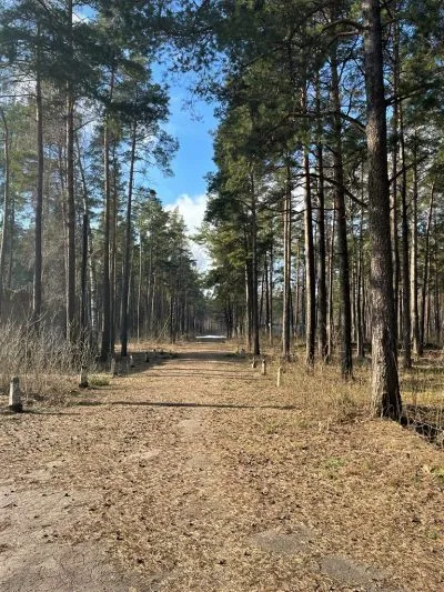 Pārdod zemi, Rencēnu iela 33, Rīga, Pļavnieki / 1800000 € 7