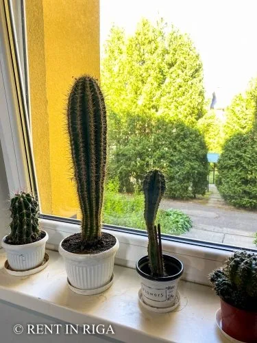Pārdod dzīvokli, Saules iela 9, Ozolnieku novads, Ozolnieki / 46 000 € 17