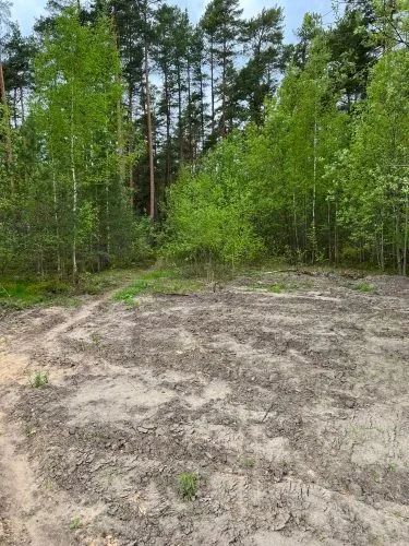 Pārdod zemi, Evijas iela 6, Rīga, Labais krasts, Bukulti / 80 000 € 5