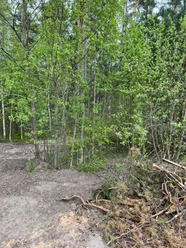 Pārdod zemi, Evijas iela 6, Rīga, Labais krasts, Bukulti / 80 000 € 2