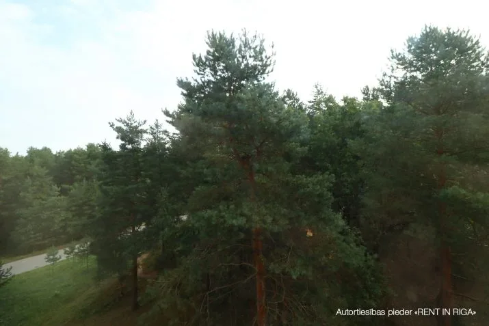 Apartment For Rent, Ziepniekkalna street 64 k1, Rīga, Kreisais krasts, Ziepniekkalns / 850 € 16