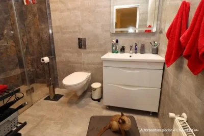 Izīrē māju, Lielvārdes iela 56, Rīga, Labais krasts, Teika / 1 500 € 16