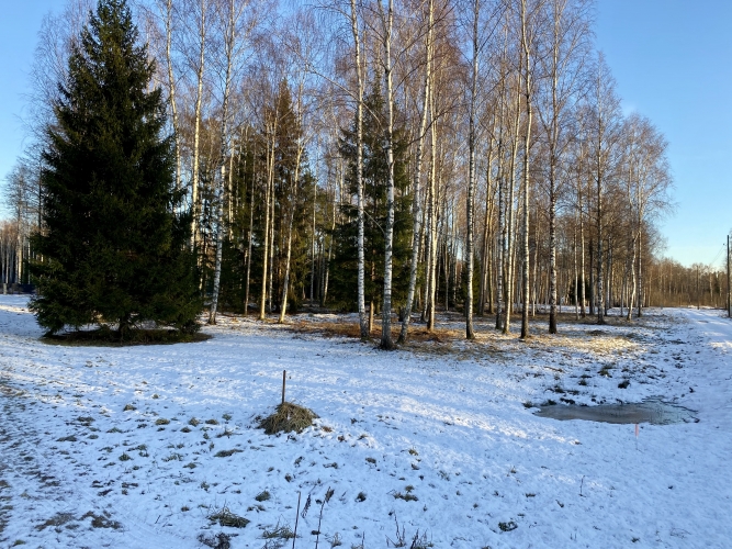 Vēju iela 8 5