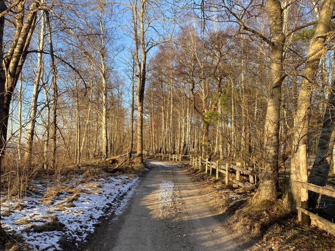 Vēju iela 8 3