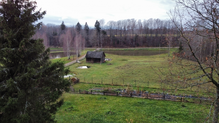Pakalnes 0 43