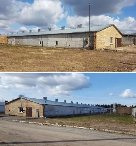 Putnu iela 3 10