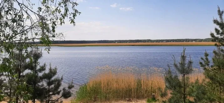 Vārnukroga ceļš 2005 iela 51 2
