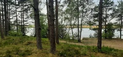 Pārdod zemi, Vārnukroga ceļš 2005 iela 51, Jūrmala, Priedaine / 55 000 € 7