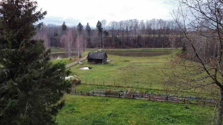 Pakalnes 0 18