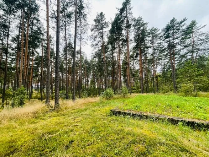 Land plot For Sale, Pērses street 23, Rīga, Labais krasts, Berģi / 41 000 € 9